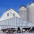 Get Moo’d Up brengt op creatieve wijze zuivel tot leven in Nebraska
