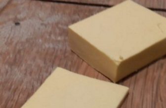 Kaasalternatief op basis van microalgen ontwikkeld