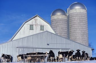 USDA investeert $ 20,2 miljoen in Dairy Business Innovation Initiatives